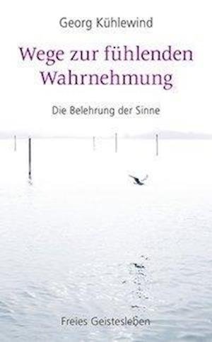 Cover for Kühlewind · Wege zur fühlenden Wahrnehmun (Bog)