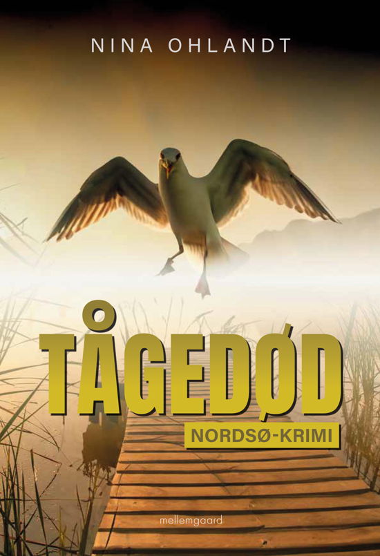 Cover for Nina Ohlandt · Nordsø-krimi: Tågedød (Sewn Spine Book) [1st edition] (2024)