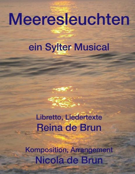 Cover for Reina De Brun · Meeresleuchten (Paperback Book) (2015)