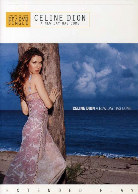 Cover for Celine Dion · A New Day Has Come -dvd S (MDVD) [Special edition] (2002)