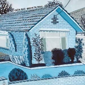 Cover for Chook Race · Around The House (CD) (2016)