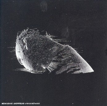Cover for Coldplay · The Scientist (CD) (2002)