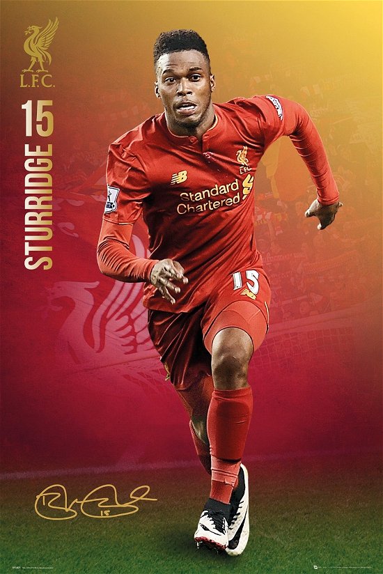 Cover for Liverpool · Liverpool - Sturridge 16/17 (poster Maxi 61x915 Cm) (MERCH)