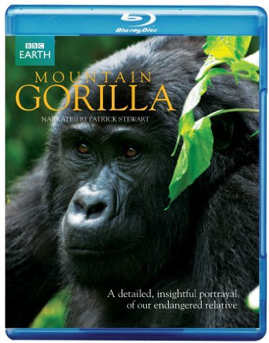 Cover for TV Series / Bbc · Mountain Gorillas (Blu-ray) (2010)