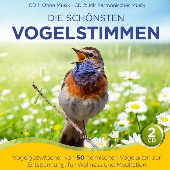 Naturklang - Die Sch?nsten Vogelstimmen-vogelgezwitscher V 50 - Naturklang - Muziek - TYROLIS - 9003549551898 - 19 augustus 2014