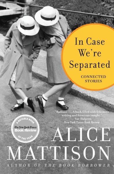 Cover for Alice Mattison · In Case We're Separated: Connected Stories (Paperback Book) (2006)