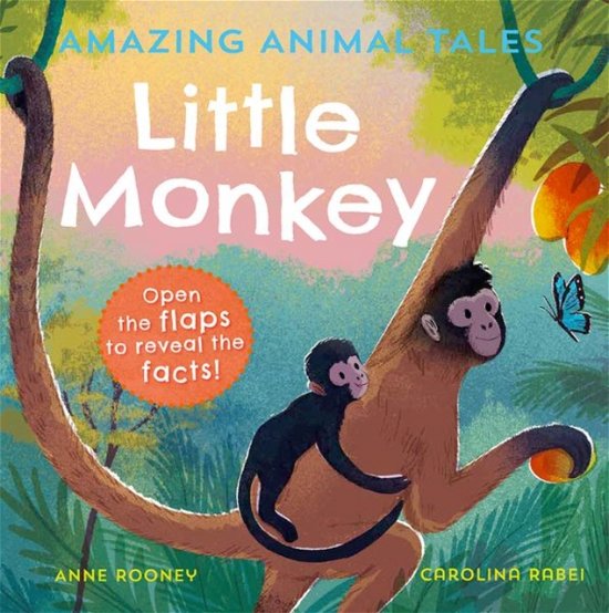 Cover for Anne Rooney · Amazing Animal Tales: Little Monkey (Paperback Bog) (2023)