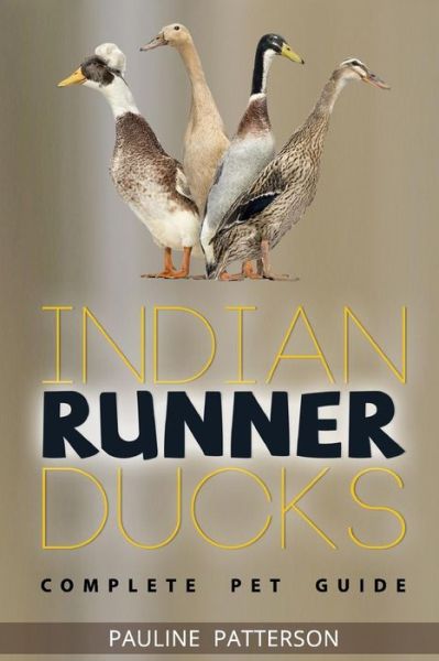 Cover for Pauline Patterson · Indian Runner Ducks: the Complete Owners Guide (Taschenbuch) [1st edition] (2014)