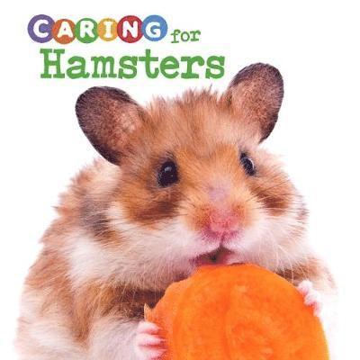 Cover for Tammy Gagne · Caring for Hamsters - Expert Pet Care (Paperback Book) (2018)