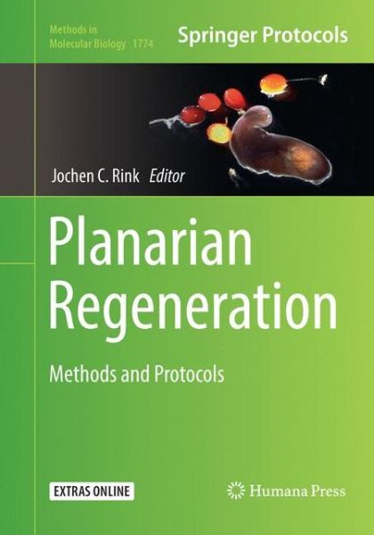 Cover for Planarian Regeneration (Book) [Softcover reprint of the original 1st ed. 2018 edition] (2019)