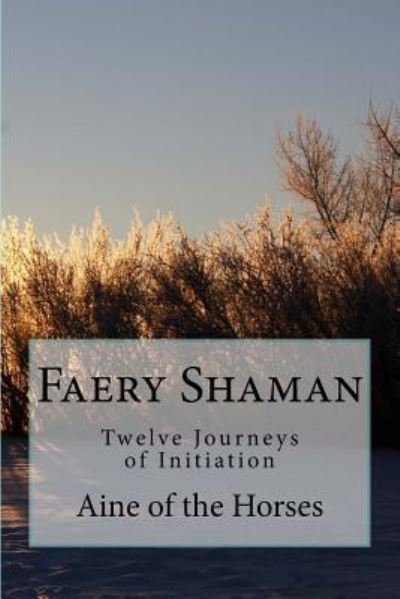 Cover for Aine of the Horses · Faery Shaman : Twelve Journeys of Initiation (Paperback Book) (2016)