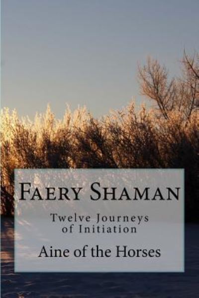 Cover for Aine of the Horses · Faery Shaman : Twelve Journeys of Initiation (Paperback Book) (2016)