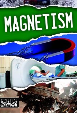 Cover for Joanna Brundle · Magnetism (Taschenbuch) (2019)