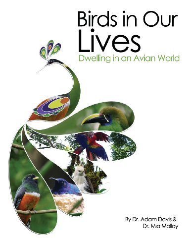 Birds in Our Lives: Dwelling in an Avian World - Adam Davis - Livros - Cognella, Inc - 9781609276898 - 1 de julho de 2012