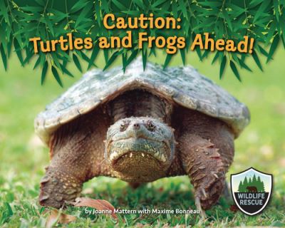 Cover for Joanne Mattern · Caution: Turtles and Frogs Ahead! (Inbunden Bok) (2022)