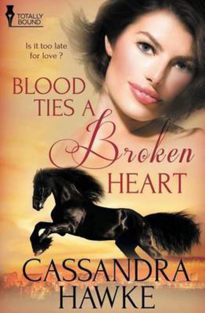 Cover for Cassandra Hawke · Blood Ties a Broken Heart (Taschenbuch) (2015)