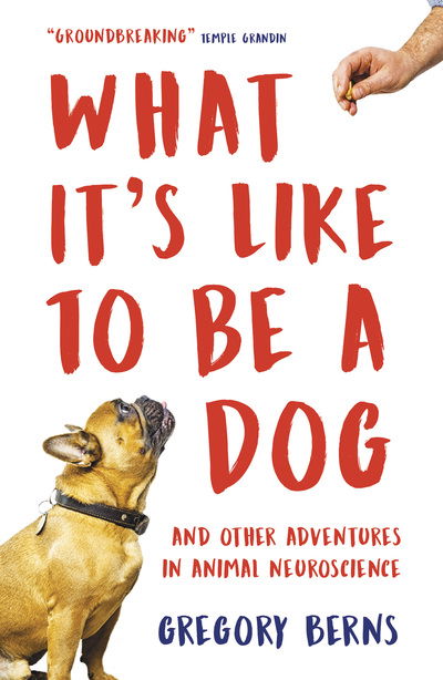 Cover for Gregory Berns · What It's Like to Be a Dog: And Other Adventures in Animal Neuroscience (Paperback Book) (2019)