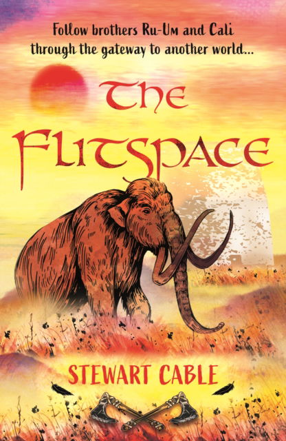 Cover for Stewart Cable · The Flitspace (Paperback Book) (2024)