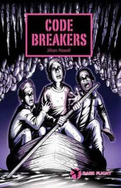 Cover for Jillian Powell · Code Breakers - Dark Flight (Taschenbuch) (2005)