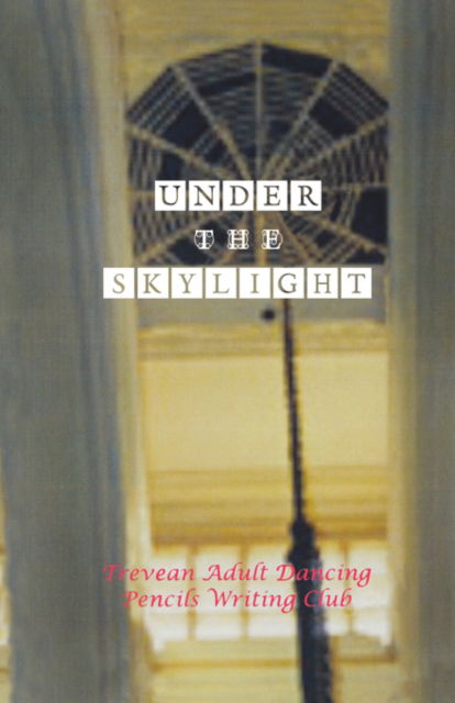 Cover for Felicity Keats · Under the Skylight (Paperback Book) (2006)