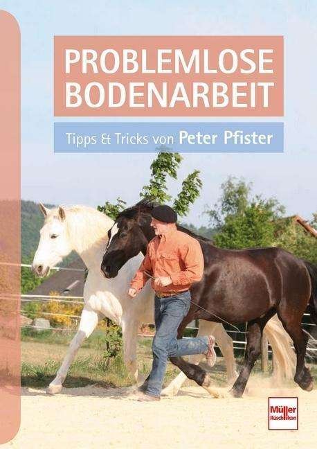 Cover for Pfister · Pfister:problemlose Bodenarbeit (Book)