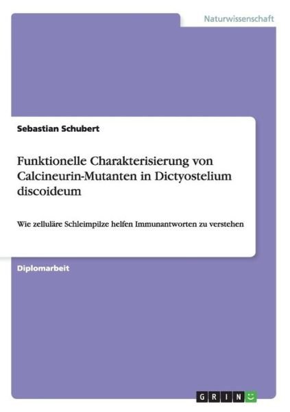 Cover for Schubert · Funktionelle Charakterisierung (Bog) (2013)