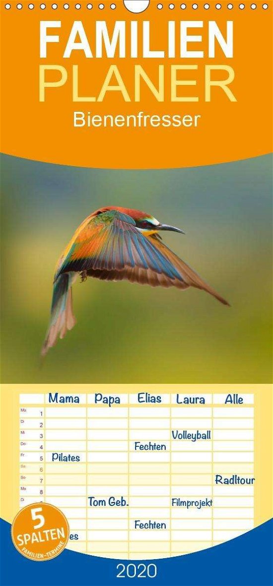 Cover for Will · Bienenfresser, unsere farbenprächt (Book)