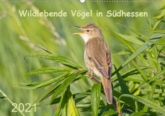 Wildlebende Vögel in Südhessen (Wan - Buß - Books -  - 9783672135898 - 