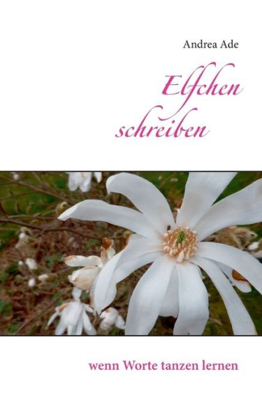 Cover for Andrea Ade · Elfchen Schreiben (Paperback Book) (2015)