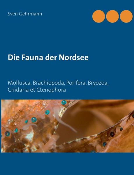 Cover for Gehrmann · Die Fauna der Nordsee (Book) (2018)