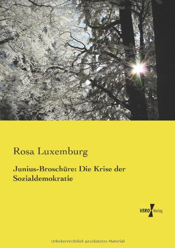 Junius-Broschure: Die Krise der Sozialdemokratie - Rosa Luxemburg - Bücher - Vero Verlag - 9783957384898 - 20. November 2019