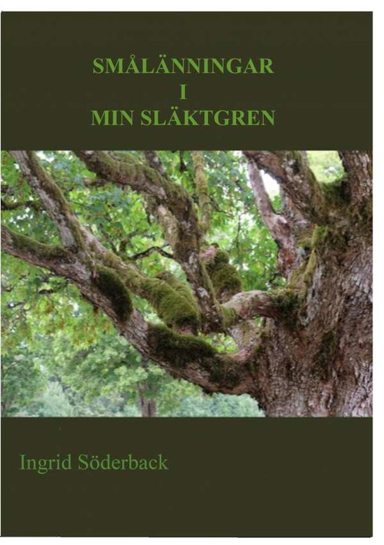 Cover for Ingrid Söderback · Smålänningar i min släktgren (Paperback Book) (2019)