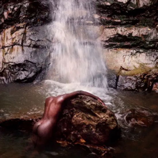 Cover for Moses Sumney · Grae (Redux Packaging) (LP) (2024)