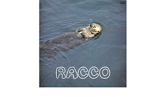 Cover for Ryojiro Furusawa · Racco (LP) (2022)