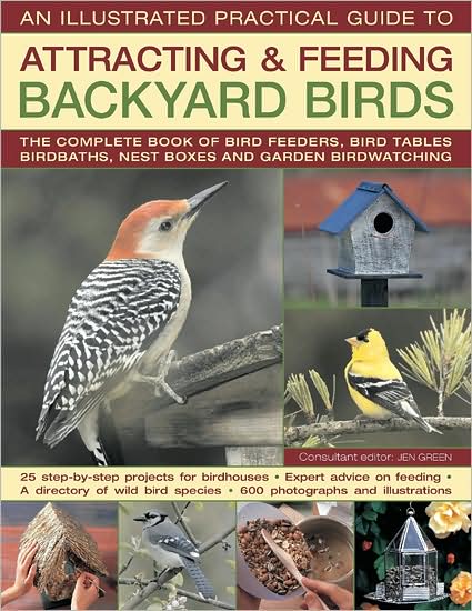 Cover for Jen Green · An Illustrated Practical Guide to Attracting &amp; Feeding Backyard Birds: the Complete Book of Bird Feeders, Bird Tables, Birdbaths, Nest Boxes, and Garden (Hardcover Book) (2009)