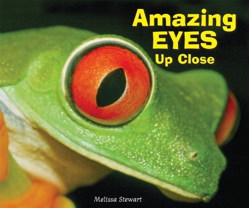 Cover for Melissa Stewart · Amazing Eyes Up Close (Animal Bodies Up Close) (Hardcover Book) (2012)