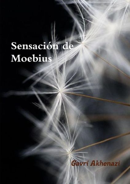 Cover for Gavrí Akhenazi · Sensación de Moebius (Paperback Book) (2016)