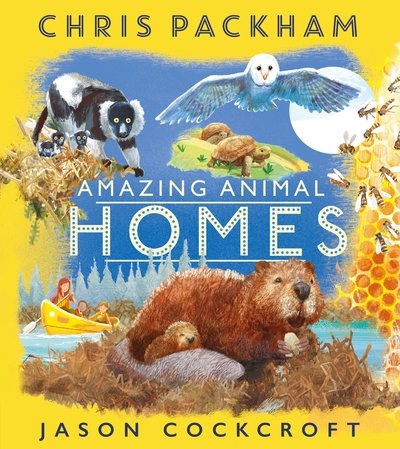 Cover for Chris Packham · Amazing Animal Homes (Paperback Book) (2018)