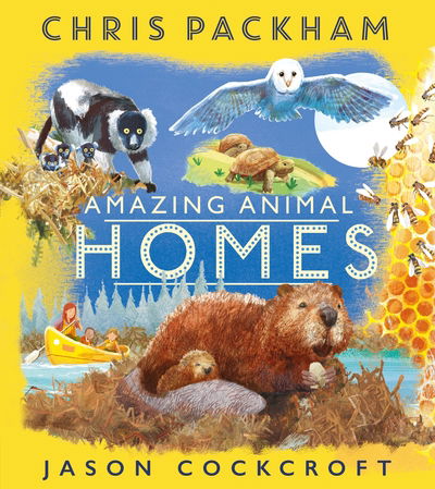 Amazing Animal Homes - Chris Packham - Books - HarperCollins Publishers - 9781405284899 - June 28, 2018