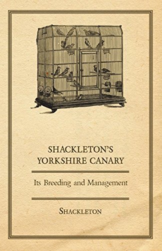 Cover for Shackleton · Shackleton's Yorkshire Canary - Its Breeding and Management (Paperback Book) (2006)