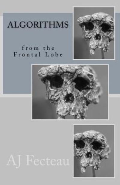 Cover for Aj Fecteau · Algorithms from the Frontal Lobe (Pocketbok) (2016)