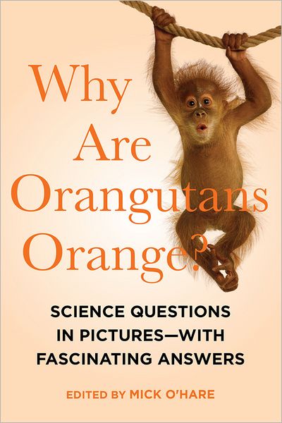 Cover for Mick O`hare · Why Are Orangutans Orange? - Science Questions in Pictures--With Fascinating Answers (Innbunden bok) (2017)