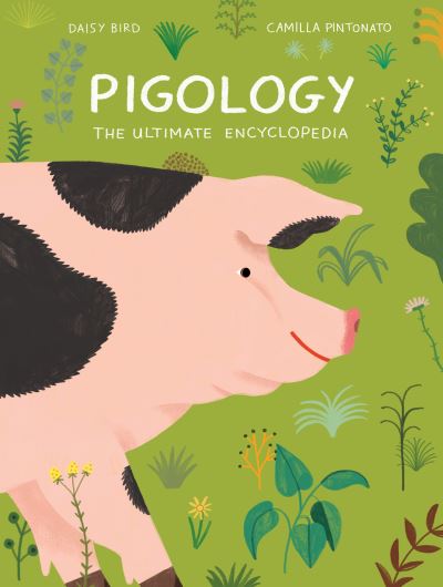 Cover for Daisy Bird · Pigology: The Ultimate Encyclopedia (Gebundenes Buch) (2021)