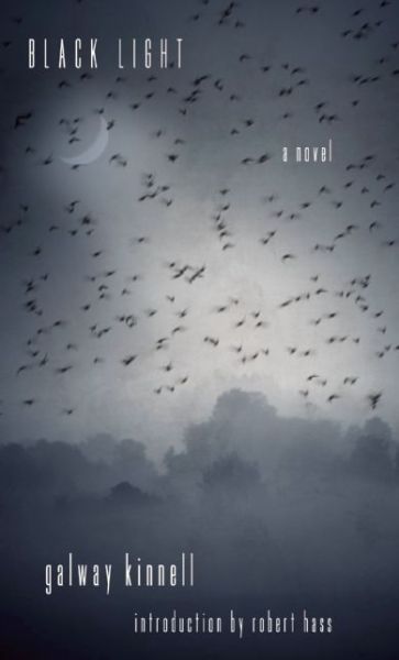 Black Light: A Novel - Galway Kinnell - Książki - Counterpoint - 9781619025899 - 13 października 2015