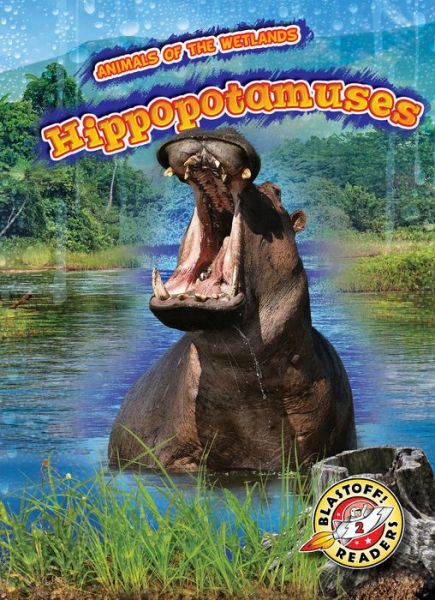 Cover for Rachel Grack · Hippopotamuses (Hardcover Book) (2019)