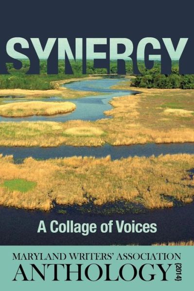 Cover for Maryland Writers Association · Synergy: a Collage of Voices Anthology 2014 (Paperback Book) (2015)