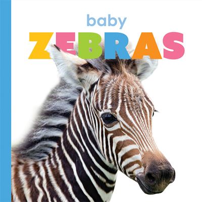 Cover for Kate Riggs · Baby Zebras (Buch) (2020)