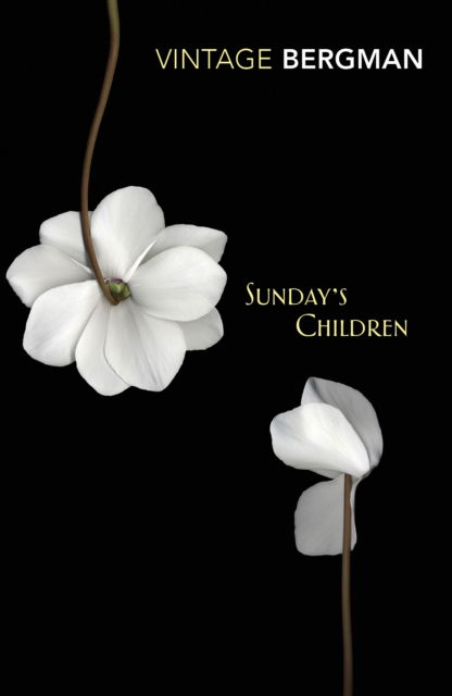 Sunday's Children - Ingmar Bergman - Books - Vintage Publishing - 9781784873899 - November 8, 2018