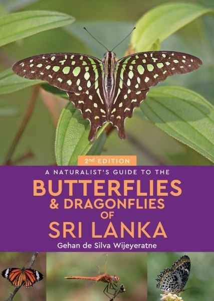 Cover for Gehan de Silva Wijeyeratne · A Naturalist's Guide to the Butterflies of Sri Lanka (2nd edition) - Naturalist's Guide (Taschenbuch) [Revised edition] (2018)