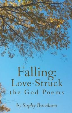 Cover for Sophy Burnham · Falling (Paperback Book) (2016)